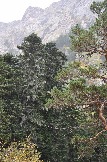 DSC_0686.JPG