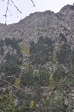 DSC_0684.JPG