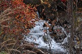 DSC_0586.JPG