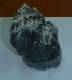 P1000266-1.jpg