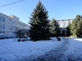 СШ №5