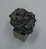 P1000268-1.jpg
