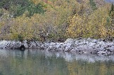 DSC_0716.JPG
