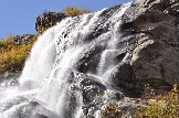 DSC_0769.JPG