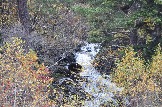 DSC_0499.JPG
