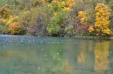 DSC_0896.JPG