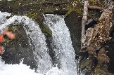 DSC_0588.JPG