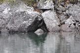 DSC_0756.JPG