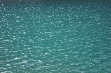 DSC_0158.JPG