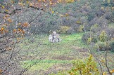DSC_0263.JPG