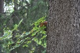 DSC_0340.JPG