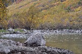 DSC_0717.JPG