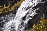 DSC_0708.JPG
