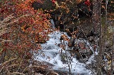 DSC_0585.JPG