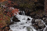 DSC_0587.JPG