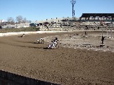 DSC07255.JPG