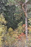 DSC_0688.JPG