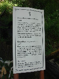 Изменение размера DSC06547.JPG