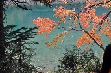 DSC_0690.JPG