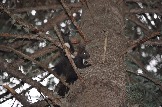 DSC_0782.JPG