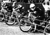 12017712_861920407261836_647134712347832147_o.jpg