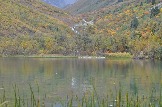 DSC_0879.JPG