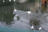 P1000946.JPG