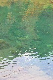 DSC_0568.JPG
