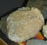 P1000284-1.jpg