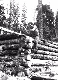 Так строилась изба. Слава Чекалов, 1976г