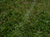 DSCF0045.JPG