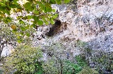 DSC_0333.JPG