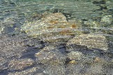 DSC_0521.JPG