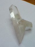 P1000270-1.jpg