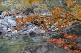 DSC_0759.JPG
