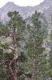 DSC_0689.JPG