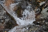 DSC_0589.JPG