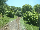 DSCF0029.JPG