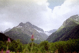A01
