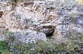 DSC_0334.JPG