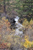 DSC_0489.JPG
