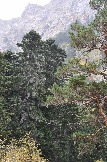 DSC_0687.JPG