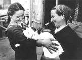 Валя Оськина и Нина Васильевна Яценко. Таких кроликов выращили в СШ 13 во второй половине 1950-х годов