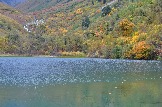 DSC_0897.JPG