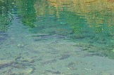 DSC_0517.JPG