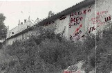 Буйной зеленью выше крыши закрыл бурьян тылы нашей бывшей погран комендатуры.