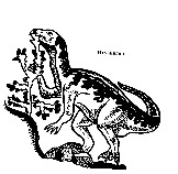 12-11