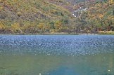 DSC_0898.JPG