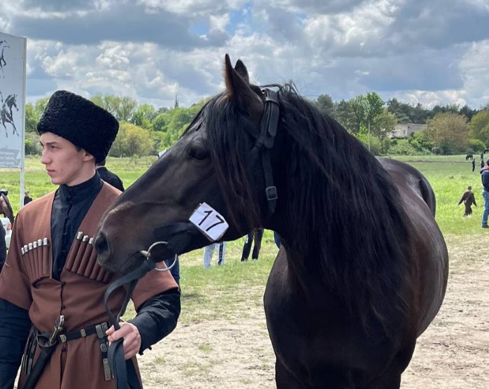 В Карачаево-Черкесии прошла выставка-выводка  лошадей «Шагди 2022»   