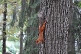 DSC_0348.JPG